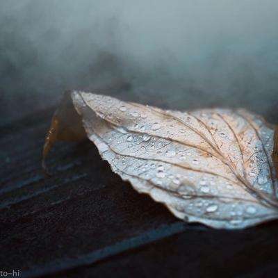 米乐app官方下载截图